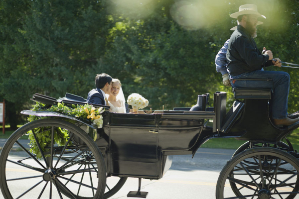 Bride and Groom in Horse Drawn Buggy