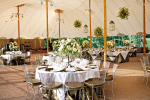Elegant Ivory and Brown Reception