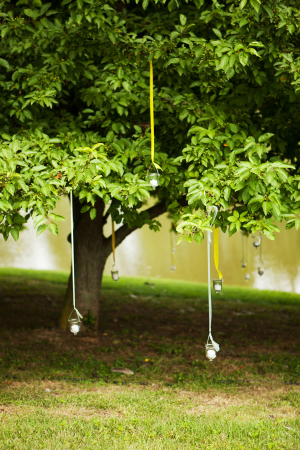 Hanging Lights in Trees