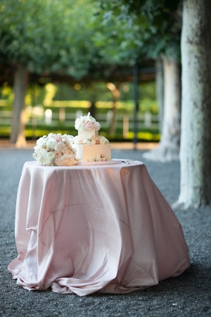 Puddled Pink Tablecloth on Cake Table