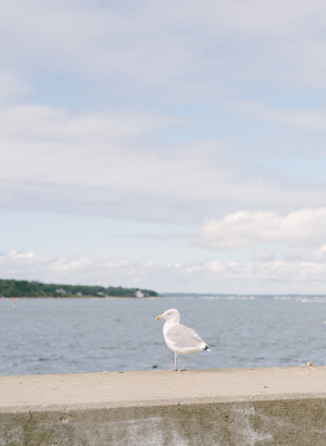 Bird on Waterfront