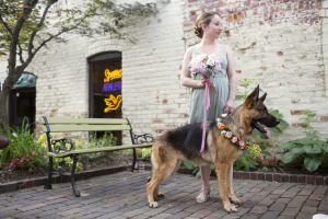 Bridesmaid and Dog at Wedding