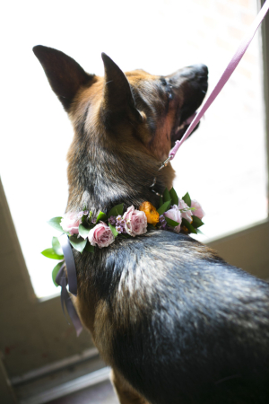 Dog in Flower Wreath