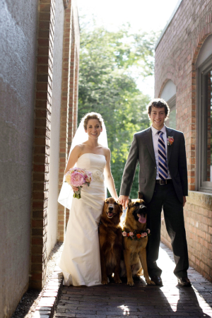 Dogs with Bride and Groom