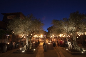 Evening Reception Under Tree Lights