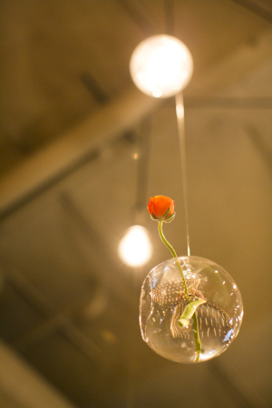 Flower in Hanging Globe