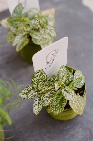 Letterpress Place Cards in Plants