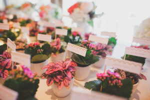 Potted Plant Place Cards