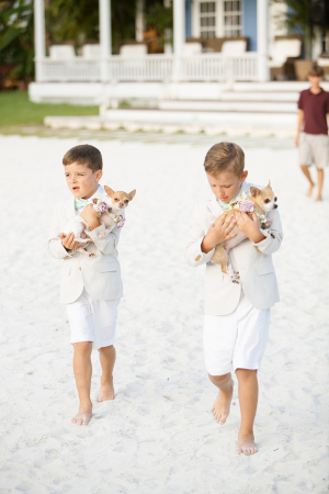 Ring Bearers with Dogs