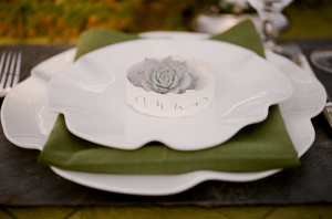 Succulent Place Card on Plate