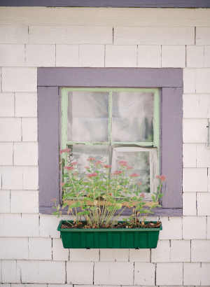 Window Box Flowers Marthas Vineyard