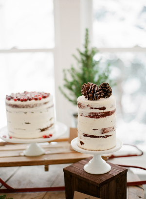 Cake with Pine Cones