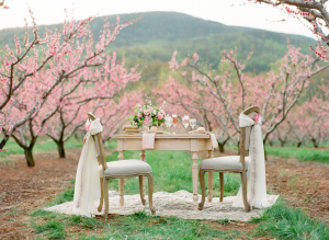 Elegant Pink Southern Wedding Ideas