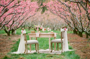 Pink Southern Wedding Ideas
