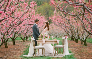 Pink Virginia Wedding Inspiration