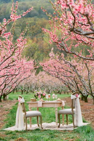 Southern Cherry Blossom Wedding Ideas