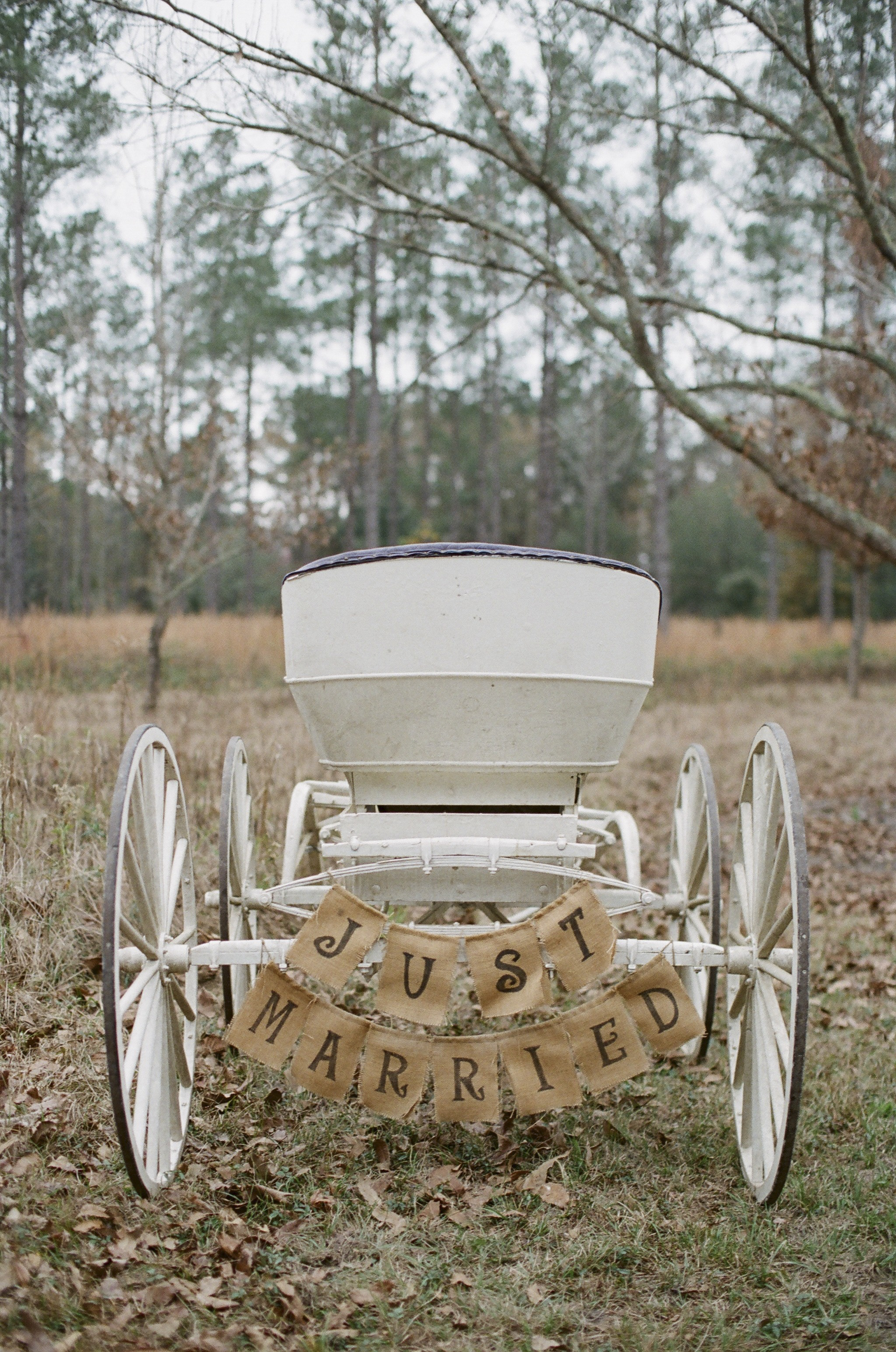 Vintage Cart Wedding Getaway