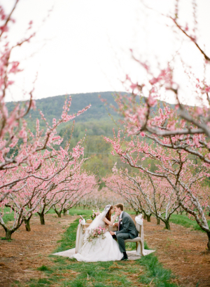 Virginia Cherry Blossom Wedding Ideas