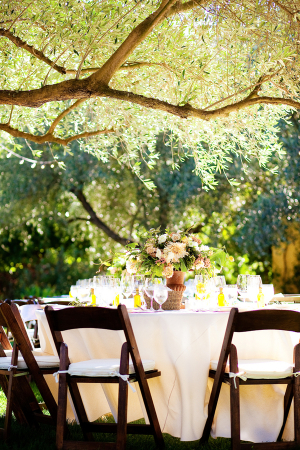 Backyard Vineyard Wedding Reception