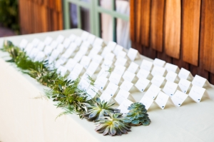 Greenery Garland and Succulent Decor