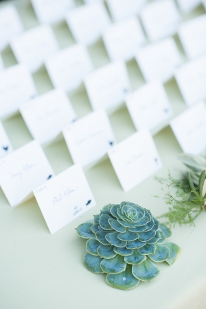 Succulents on Place Card Table