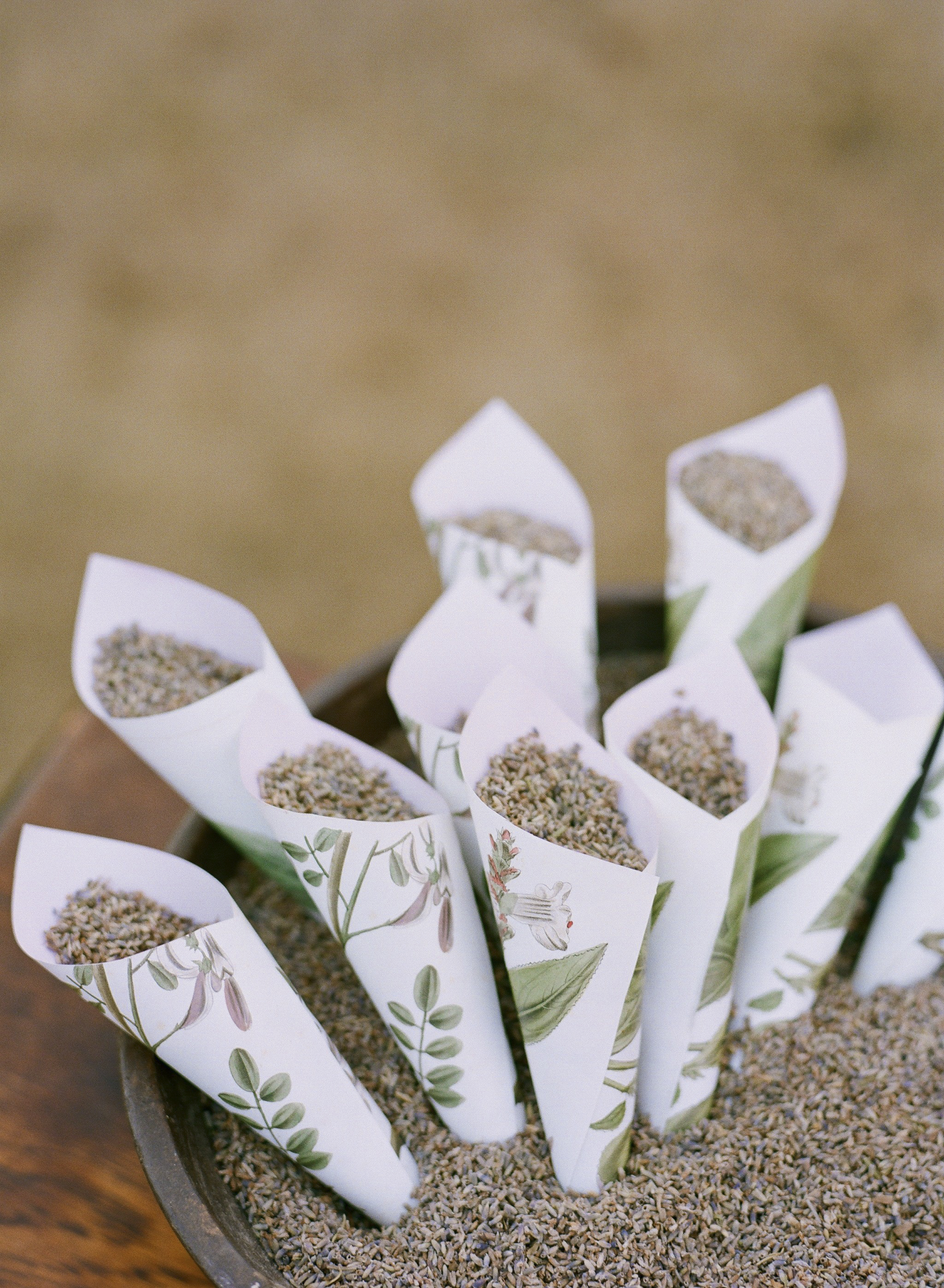 Bird Seed in Paper Cones