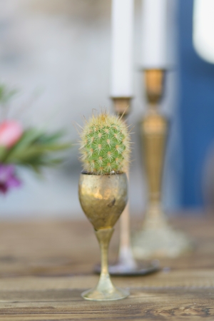 Cactus in Gold Goblet