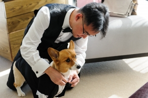Dog in Wedding Tux