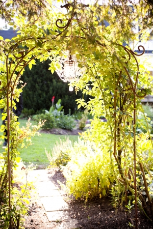 Garden Wedding Arch