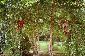Wedding Flowers in Trees