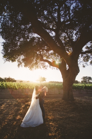 Vineyard Sunset Wedding Portrait from Christine Farah