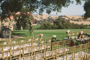 Wedding Ceremony in Vineyard