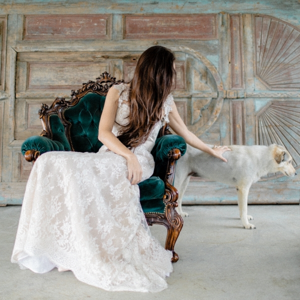 Inspiration for Dogs in Weddings
