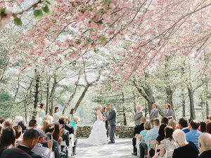 Ceremony Under Cherry Blossoms
