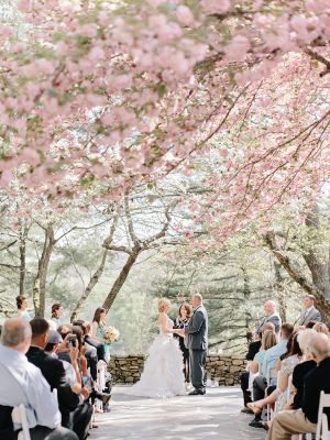 Outdoor Ceremony Under Cherry Blossom Trees