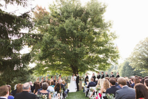 Wedding Ceremony Under Big Tree