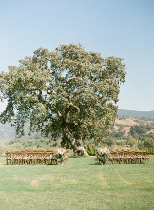 Ceremony Under a Tree in Winery