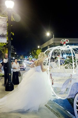 Cinderella Wedding Carriage 3