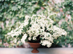 White Wedding Flowers in Urn
