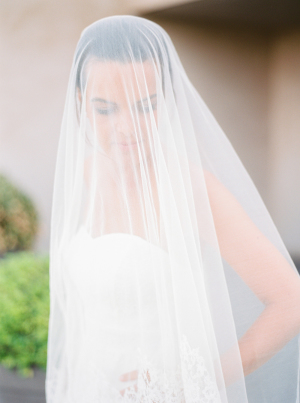 Sheer Elegant Wedding Veil