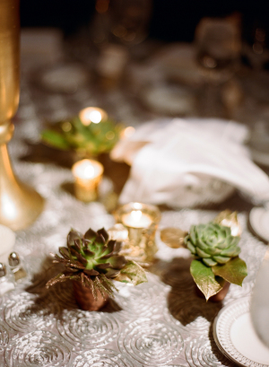 Succulents on Wedding Table