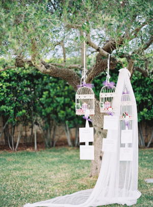Birdcages in Trees