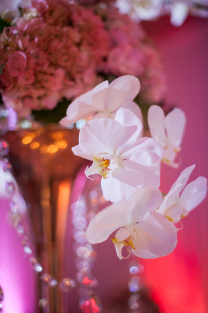 Centerpiece with Hanging Orchids