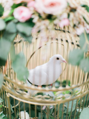 Dove in Birdcage