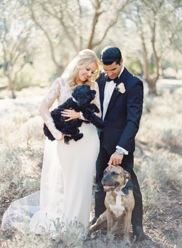 Dogs in Wedding