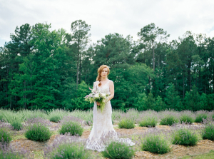 Bride on Lavender Farm