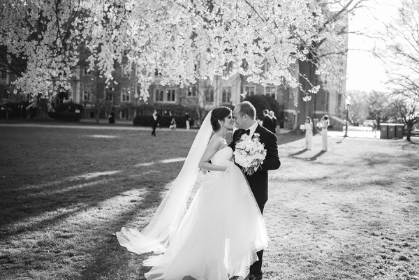 Wedding Portraits Under the Cherry Blossoms