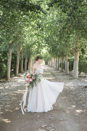 Bride Under Sycamore Trees
