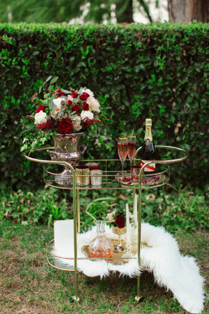 Bar Cart with Burgundy and Gold Accents