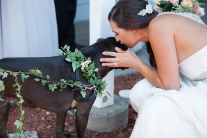 Bride with her Adorable Dog